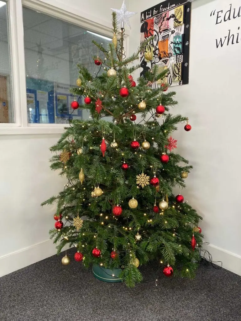 Christmas tree donated by Notcutts Garden Pride.