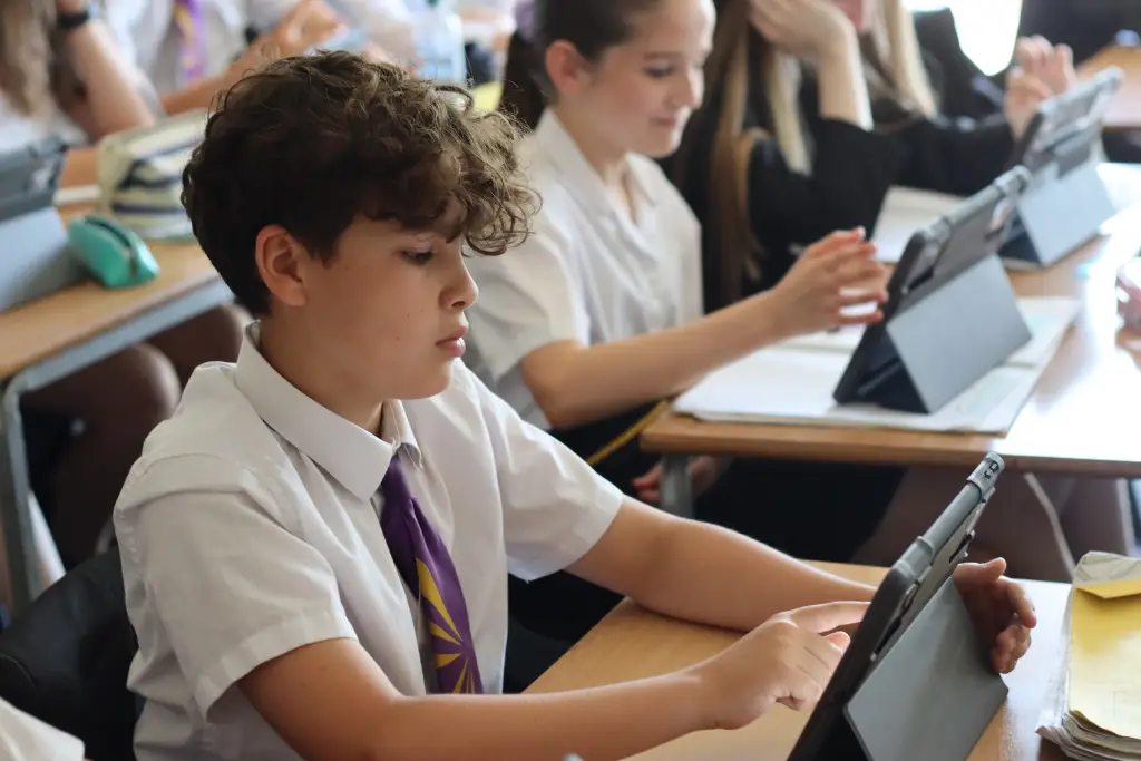 Students working in a lesson